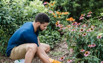 The Power of Stillness: Why Slowing Down Could Be Your Fastest Path to Growth